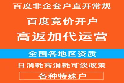 百度SEO推广公司案例分享：实战优化策略解析